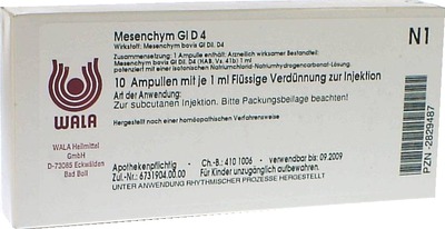 Mesenchym GL D4