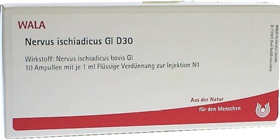 Nervus ischiadicus GL D30