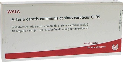 Arteria carotis communis et sinus caroticus GL D 8 Ampullen