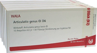 Articulatio genus Gl D6 Ampullen