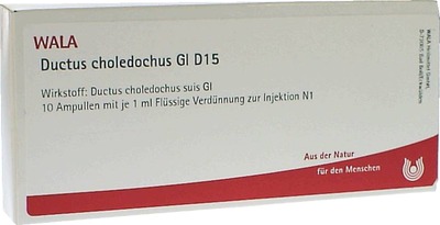 Ductus choledochus Gl D15 Ampullen