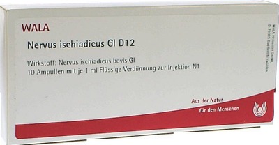 Nervus ischiadicus Gl D12 Ampullen