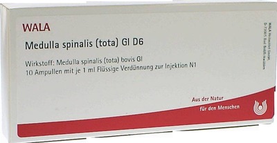 Medulla spinalis (tota) GL D6 Ampullen