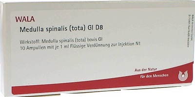 Medulla spinalis (tota) Gl D8 Ampullen