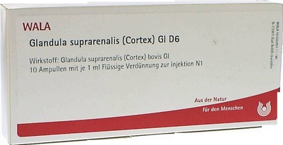 Glandula suprarenalis Cortex GL D6
