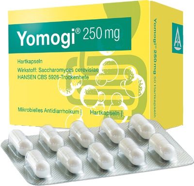 Yomogi 250mg 5 Billionen Zellen